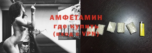 ешки Горняк
