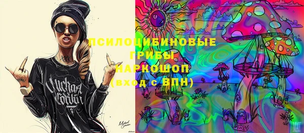 ешки Горняк