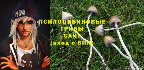 ешки Горняк